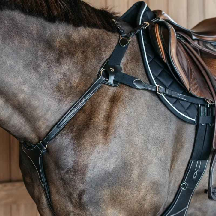 5-Punktsbrösta Elastic Dyon Collection Svart i gruppen Hästutrustning / Martingal & Förbygel / Förbygel hos Horseonline AB (DY06FBLCBA_r)