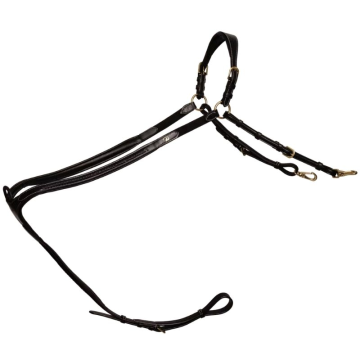 Brösta Plaited Dyon Collection Svart i gruppen Hästutrustning / Martingal & Förbygel / Förbygel hos Horseonline AB (DY06HBLCBA_r)