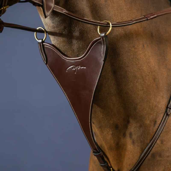 Kort Martingal Hard Bib Dyon Collection Brun i gruppen Hästutrustning / Martingal & Förbygel / Martingal hos Horseonline AB (DY07CBRCBR_r)