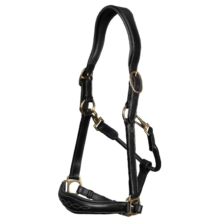Groominggrimma Artificial Leather Anatomic DC Svart i gruppen Stall & Hage / Stallutrustning / Bandageväska hos Horseonline AB (DY09ABLCBA_r)