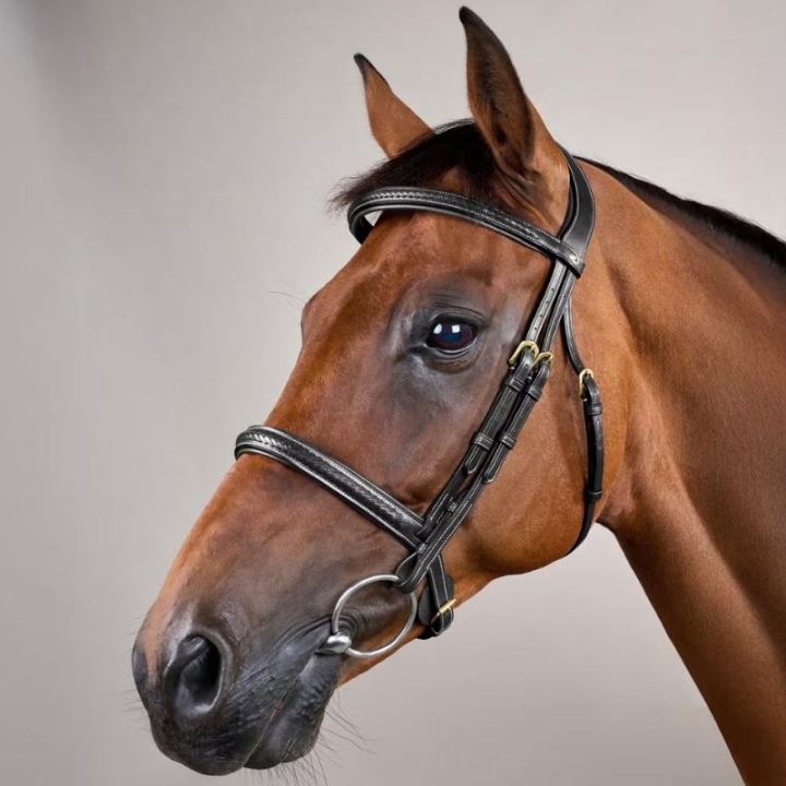 Träns utan Snokrem Plaited Dyon Collection Svart i gruppen Hästutrustning / Träns & Pannband / Träns hos Horseonline AB (DY1000101BA_r)