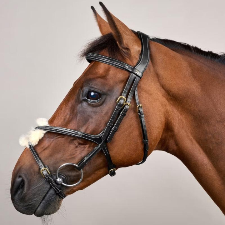 Träns Mexikansk Nosgrimma Dyon Collection Svart i gruppen Hästutrustning / Träns & Pannband / Träns hos Horseonline AB (DYAAACBLCBA_r)