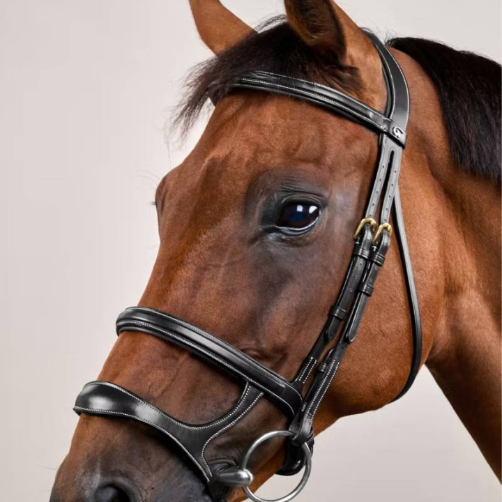 Träns Dubbel Nosgrimma Dyon Collection Svart i gruppen Hästutrustning / Träns & Pannband / Träns hos Horseonline AB (DYAAAHBLCBA_r)