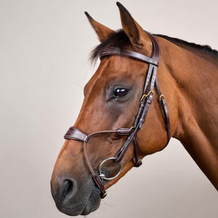 Träns Elastic Hybrid Dyon Collection Brun i gruppen Hästutrustning / Träns & Pannband / Träns hos Horseonline AB (DYABA6BRCBR_r)