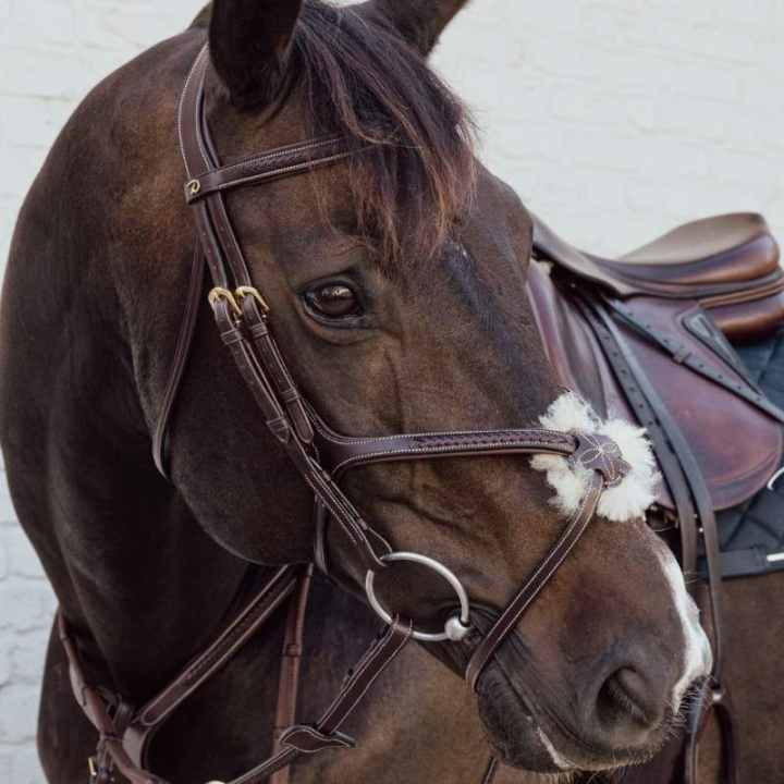 Träns Mexikansk Nosgrimma Plaited Dyon Collection Brun i gruppen Hästutrustning / Träns & Pannband / Träns hos Horseonline AB (DYAOAVBRCBR_r)