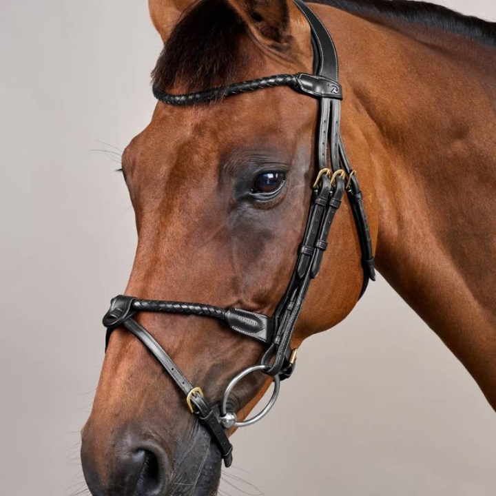 Träns Kombinosgrimma Braided Dyon Collection Svart i gruppen Hästutrustning / Träns & Pannband / Träns hos Horseonline AB (DYARAYBLCBA_r)
