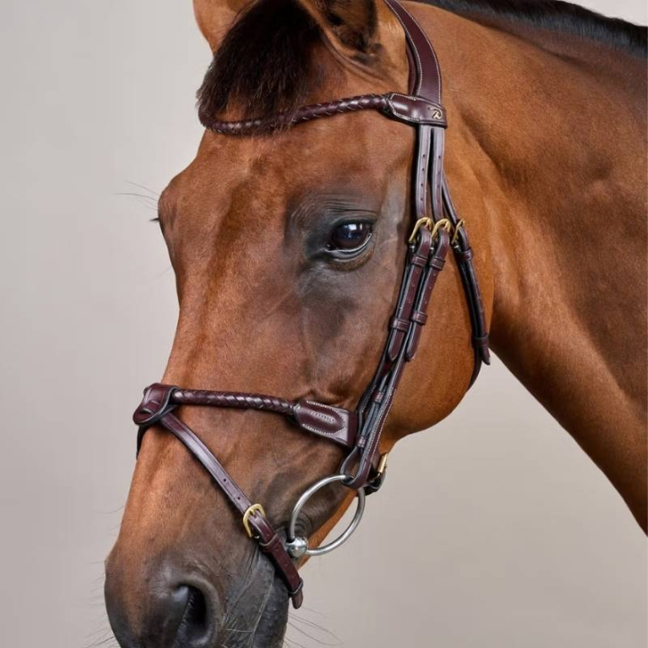 Träns Kombinosgrimma Braided Dyon Collection Brun i gruppen Hästutrustning / Träns & Pannband / Träns hos Horseonline AB (DYARAYBRCBR_r)