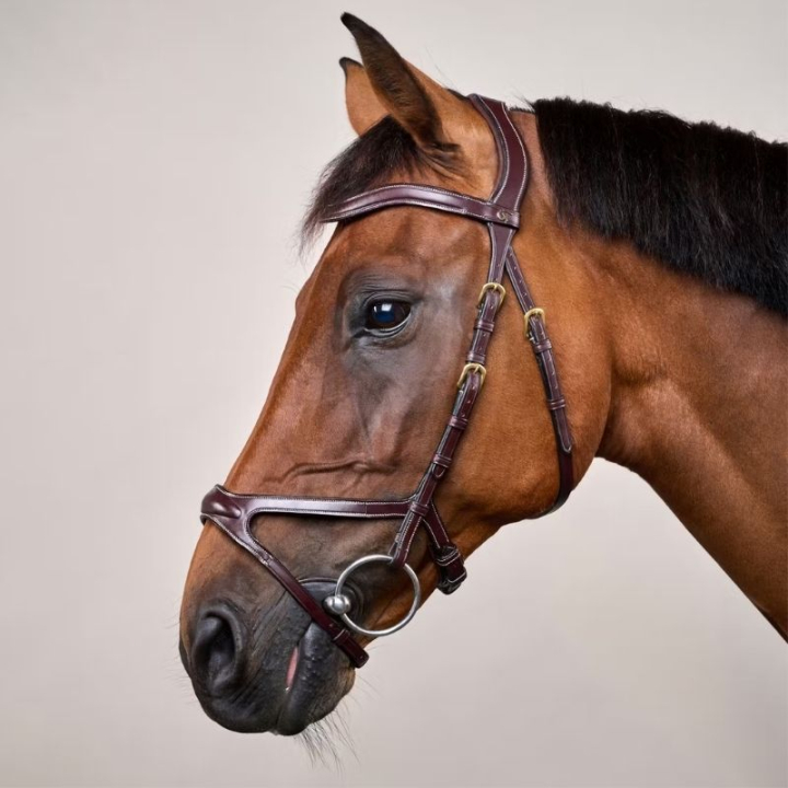 Träns X-Fit Anatomiskt DC Brun i gruppen Hästutrustning / Träns & Pannband / Träns hos Horseonline AB (DYCCCDBr_r)