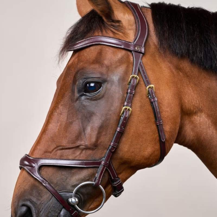 Anatomiskt Träns X-Fit Dyon Collection Brun i gruppen Hästutrustning / Träns & Pannband / Träns hos Horseonline AB (DYCCCDBr_r)