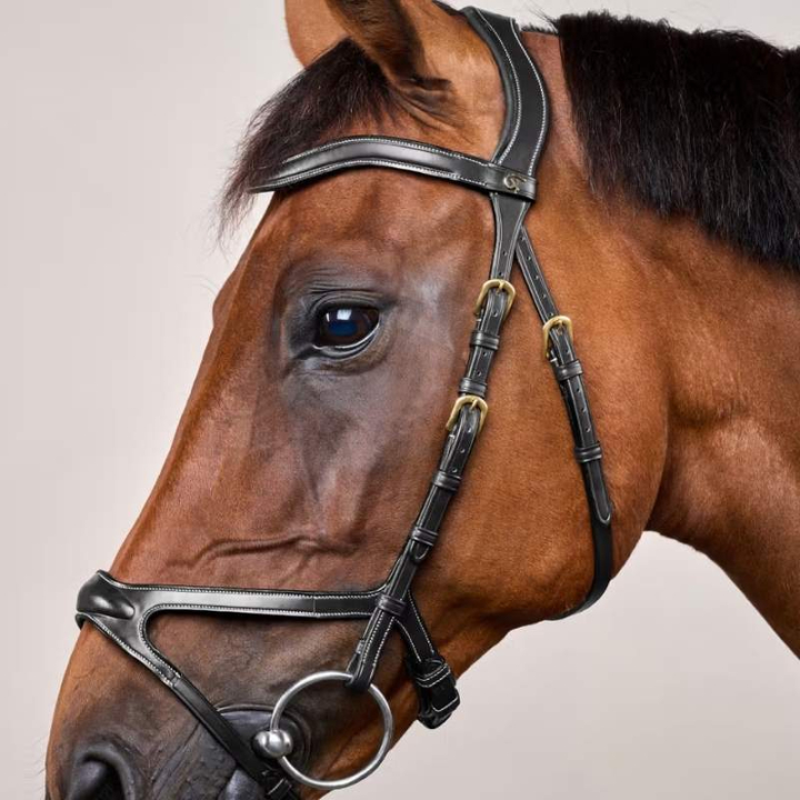 Anatomiskt Träns X-Fit Dyon Collection Svart i gruppen Hästutrustning / Träns & Pannband / Träns hos Horseonline AB (DYCCCDSv_r)