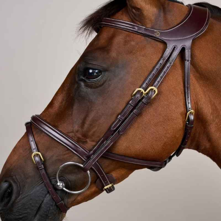 Träns Difference Dyon Collection Brun i gruppen Hästutrustning / Träns & Pannband / Träns hos Horseonline AB (DYGXAUBRCBR_r)