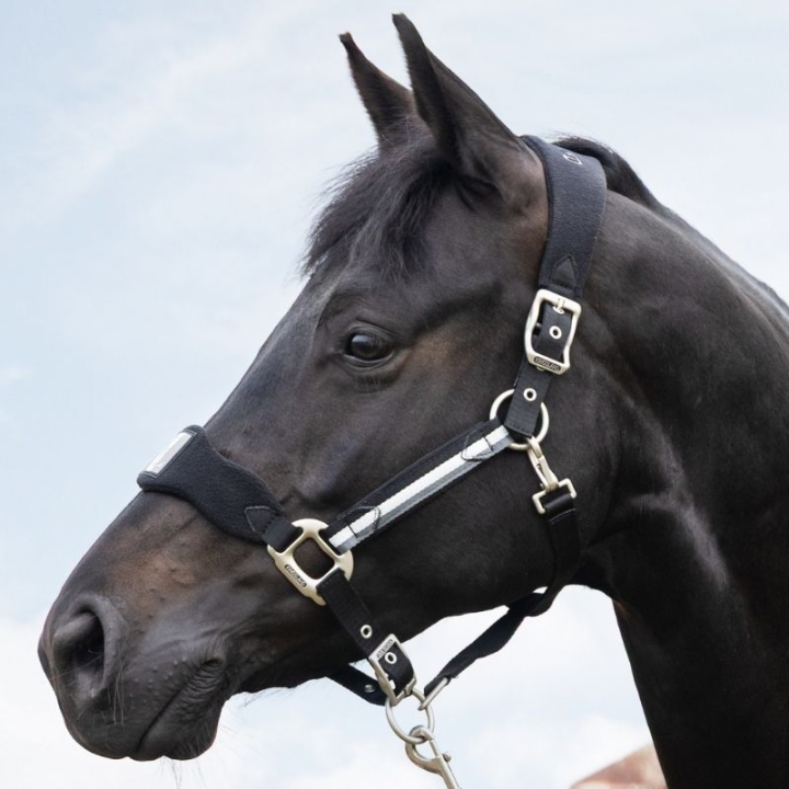 Grimma Classic Fleece Svart i gruppen Hästutrustning / Grimmor / Tyg- & Nylongrimmor hos Horseonline AB (E1000403BA_r)