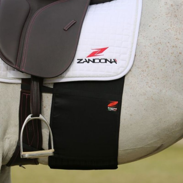 Sporrskydd Basic Chafe Guard Svart i gruppen Hästutrustning / Sporrskydd hos Horseonline AB (E275200SBKBA_r)