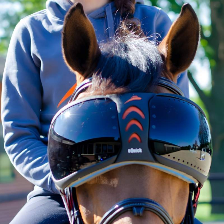 eVysor Darker  i gruppen Hästutrustning / Tillbehör hos Horseonline AB (EVYSOR2)