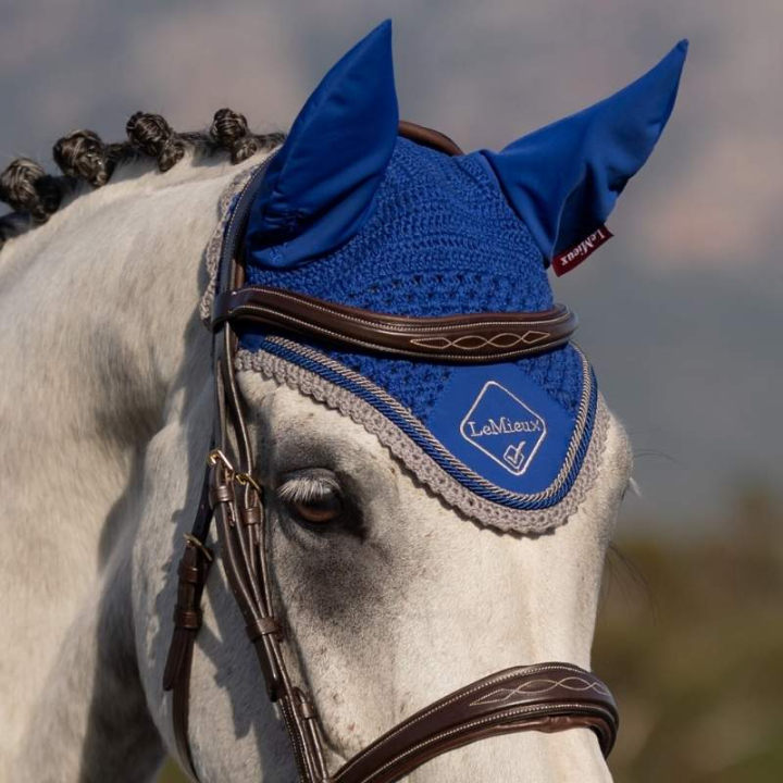 Huva Classic Blå/Grå i gruppen Hästutrustning / Huvor hos Horseonline AB (IT00755004LBLGR_r)