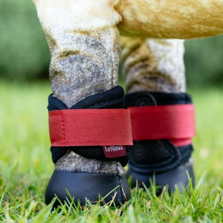 Damasker Toy Pony Grafter Svart/Röd i gruppen Käpphästar & Leksakshästar / Utrustning till Leksakshäst hos Horseonline AB (IT077580BARE)