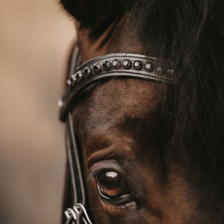 Pannband V-form Black Swarovski New English Collection Svart i gruppen Hästutrustning / Träns & Pannband / Pannband hos Horseonline AB (NE02NBLCBA_r)