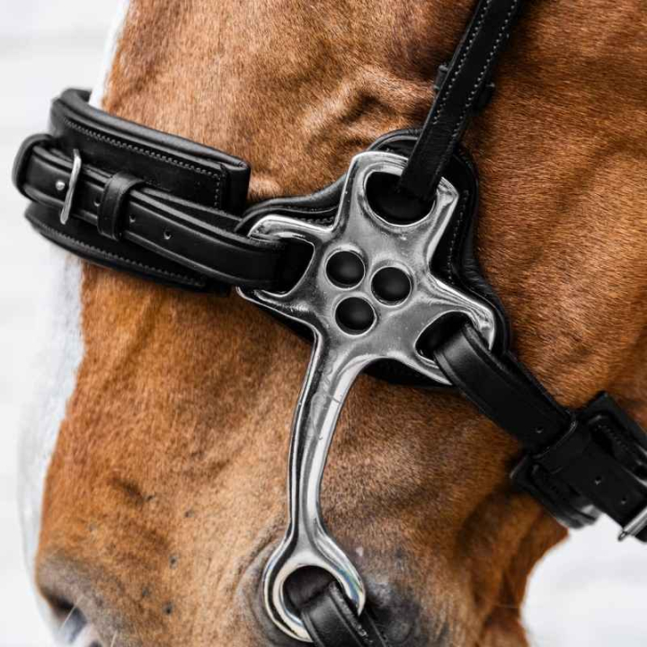 Hackamore New English Collection Svart i gruppen Hästutrustning / Bett / Hackamore hos Horseonline AB (NE1400101BA_r)