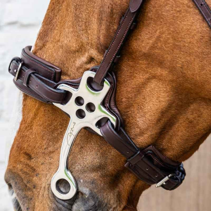 Hackamore New English Collection Brun i gruppen Hästutrustning / Bett / Hackamore hos Horseonline AB (NE1400105BR_r)