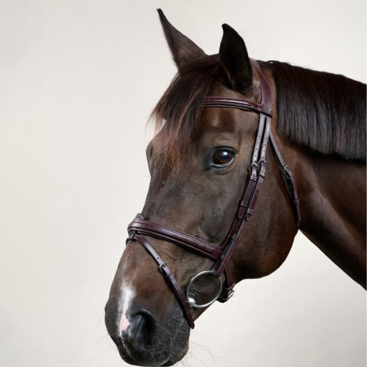 Träns Upphöjd Kombinosgrimma NE Brun i gruppen Hästutrustning / Träns & Pannband / Träns hos Horseonline AB (NEAAAABr_r)