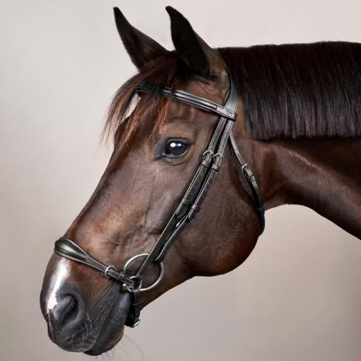 Träns Remontnosgrimma New English Collection Svart i gruppen Hästutrustning / Träns & Pannband / Kandarträns & Dressyrträns hos Horseonline AB (NEAAAEBLCBA_r)