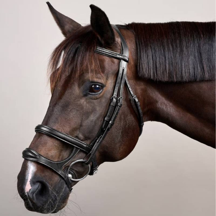Träns Dubbel Nosgrimma New English Collection Svart i gruppen Hästutrustning / Träns & Pannband / Träns hos Horseonline AB (NEAAAHBLCBA_r)