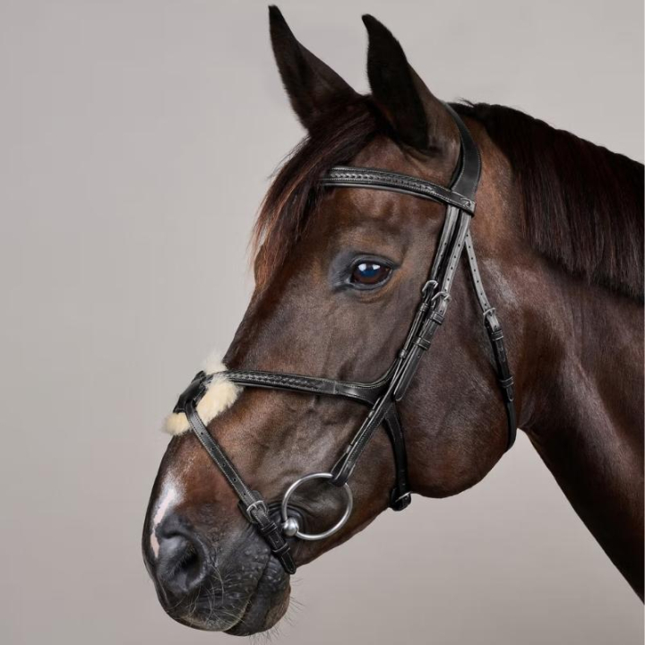 Träns Mexikansk Nosgrimma Plaited New English Collection Svart i gruppen Hästutrustning / Träns & Pannband / Träns hos Horseonline AB (NEAOAVBLCBA_r)