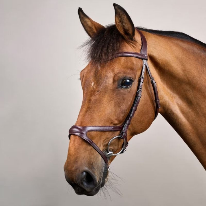 Träns X-Fit Anatomiskt NE Brun i gruppen Hästutrustning / Träns & Pannband / Träns hos Horseonline AB (NECCCDBr_r)
