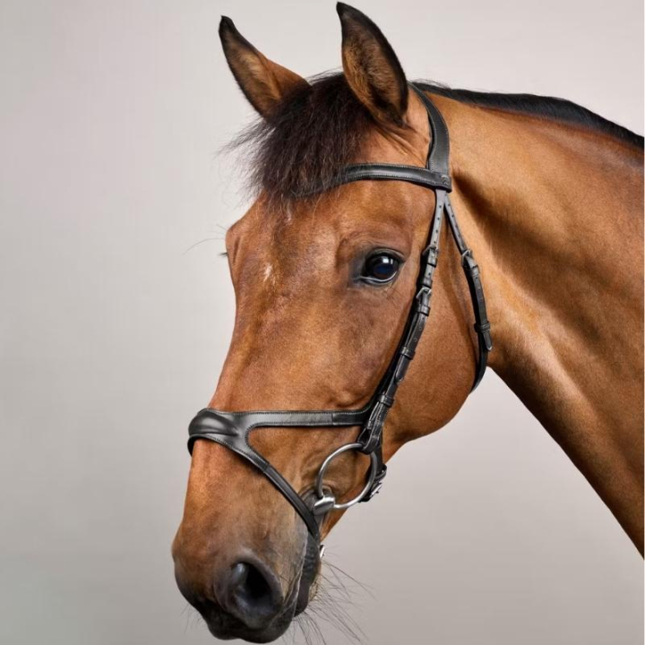 Anatomiskt Träns X-Fit New English Collection Svart i gruppen Hästutrustning / Träns & Pannband / Träns hos Horseonline AB (NECCCDSv_r)