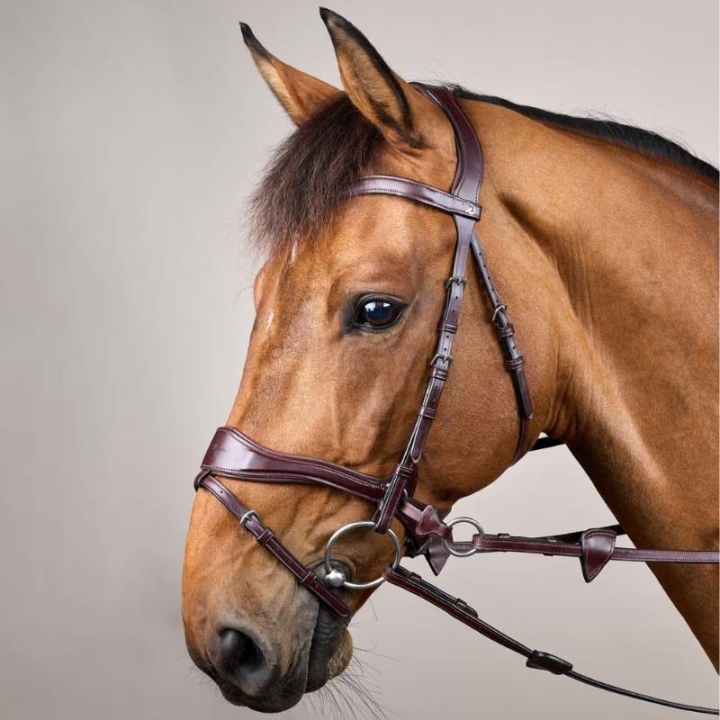 Träns D Motion New English Collection Brun i gruppen Hästutrustning / Träns & Pannband / Hackamore & Bettlösa Träns hos Horseonline AB (NECCCWBRCBR_r)