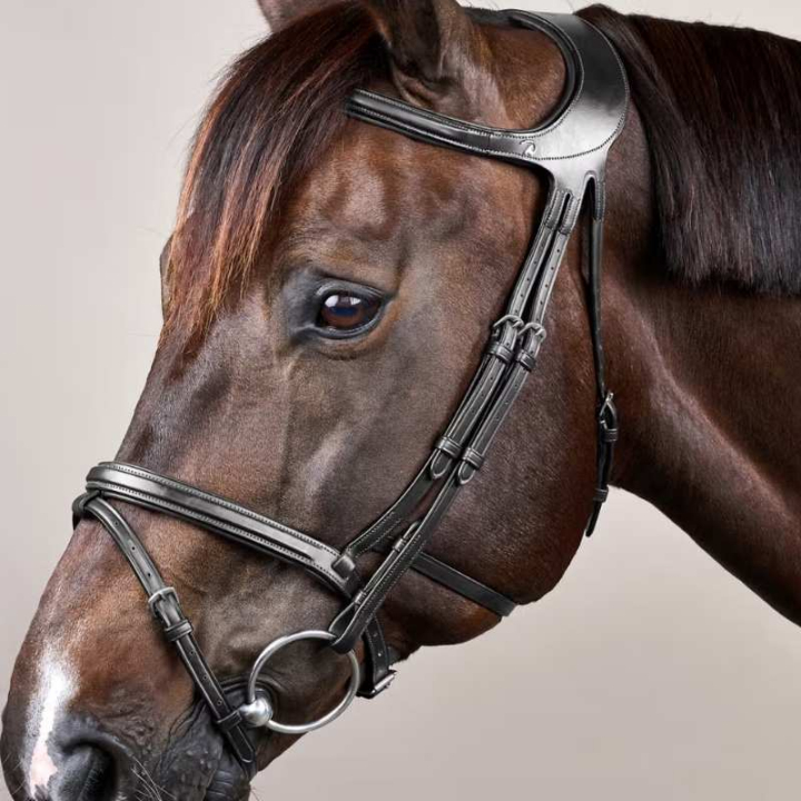 Träns Difference New English Collection Svart i gruppen Hästutrustning / Träns & Pannband / Träns hos Horseonline AB (NEGXAUBLCBA_r)