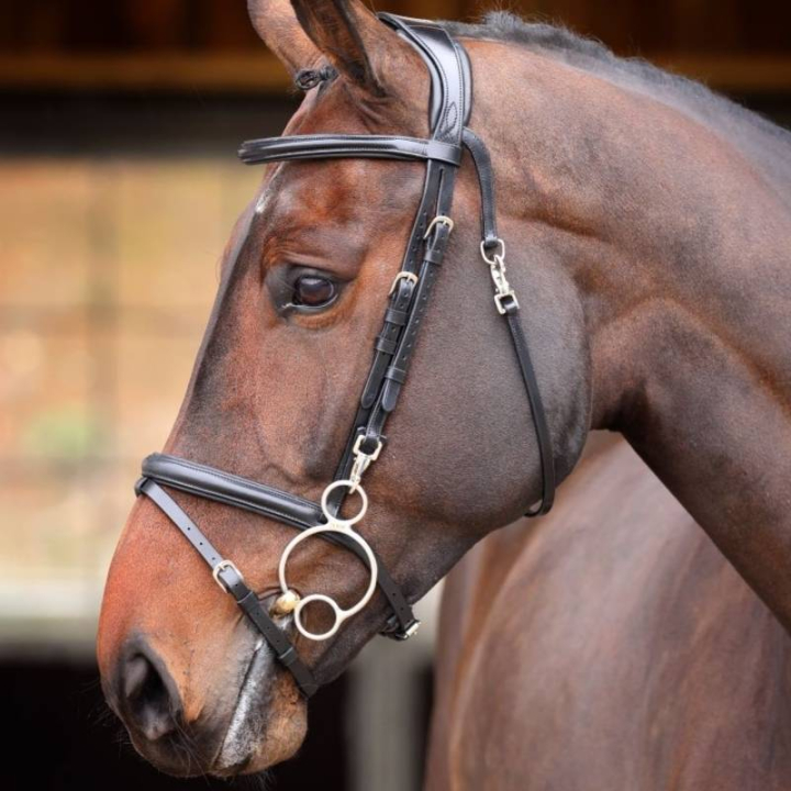Träns Quick Release Rapida Svart i gruppen Hästutrustning / Träns & Pannband / Träns hos Horseonline AB (SH512501BA_r)