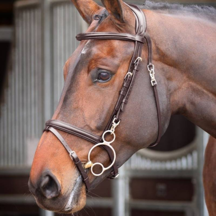 Träns Quick Release Rapida Brun i gruppen Hästutrustning / Träns & Pannband / Träns hos Horseonline AB (SH512503BR_r)