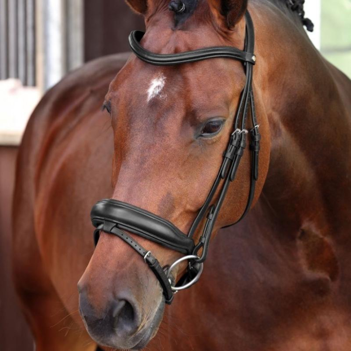 Dressyrträns LUSSO Elite Svart i gruppen Hästutrustning / Träns & Pannband / Kandarträns & Dressyrträns hos Horseonline AB (SH514901BA_r)