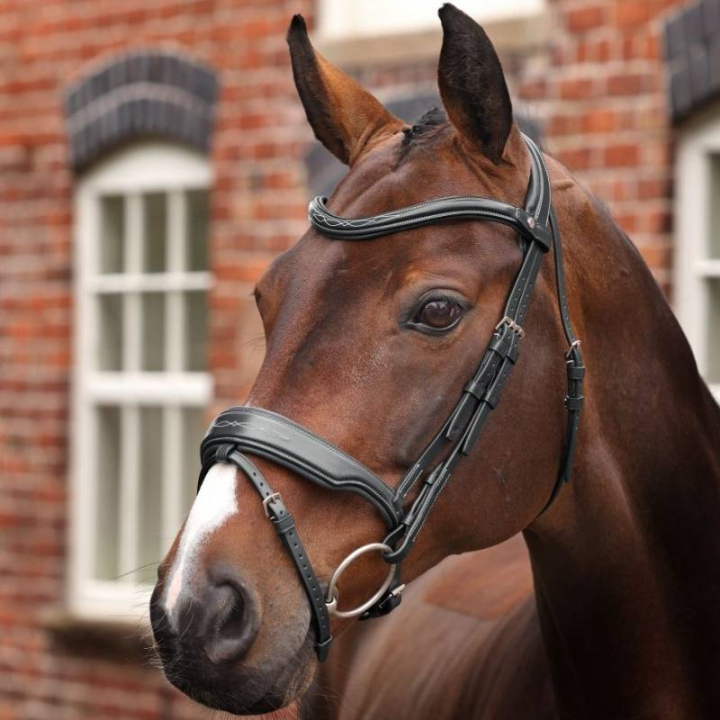 Träns Bred Nosgrimma LUSSO Opus 180M Svart i gruppen Hästutrustning / Träns & Pannband / Träns hos Horseonline AB (SH515801BA_r)