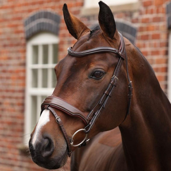 Träns Bred Nosgrimma LUSSO Opus 180M Brun i gruppen Hästutrustning / Träns & Pannband / Träns hos Horseonline AB (SH515803BR_r)