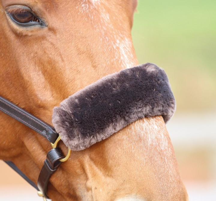 Nosskydd i Fleece Brun i gruppen Hästutrustning / Träns & Pannband / Nosludd & Nackludd hos Horseonline AB (SH5243BR)