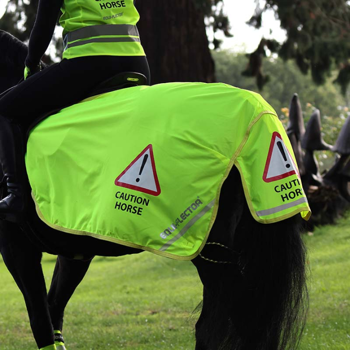Ländtäcke Mesh Reflex Gul i gruppen Ridutrustning / Reflexer hos Horseonline AB (SH940842Gu_r)