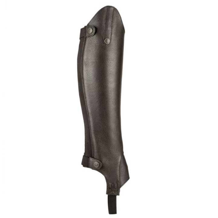Shortchaps Leather Brun i gruppen Skor, Stövlar & Chaps / Chaps hos Horseonline AB (SH972302BR_r)