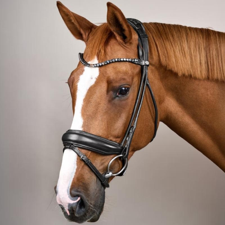 Dressyrträns Bred Nosgrimma Soft Collection Svart i gruppen Hästutrustning / Träns & Pannband / Kandarträns & Dressyrträns hos Horseonline AB (SO1000301BA_r)