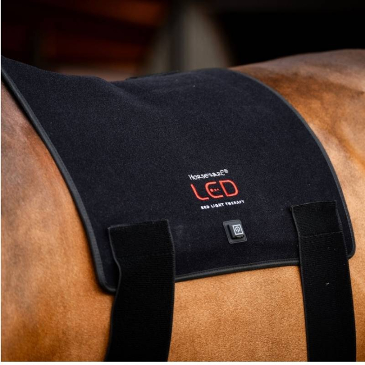 Terapipad LED Red Light Therapy Svart i gruppen Skötsel & Vård / Massage & Blodcirkulation hos Horseonline AB (TLHBT1KK0BA-FU)
