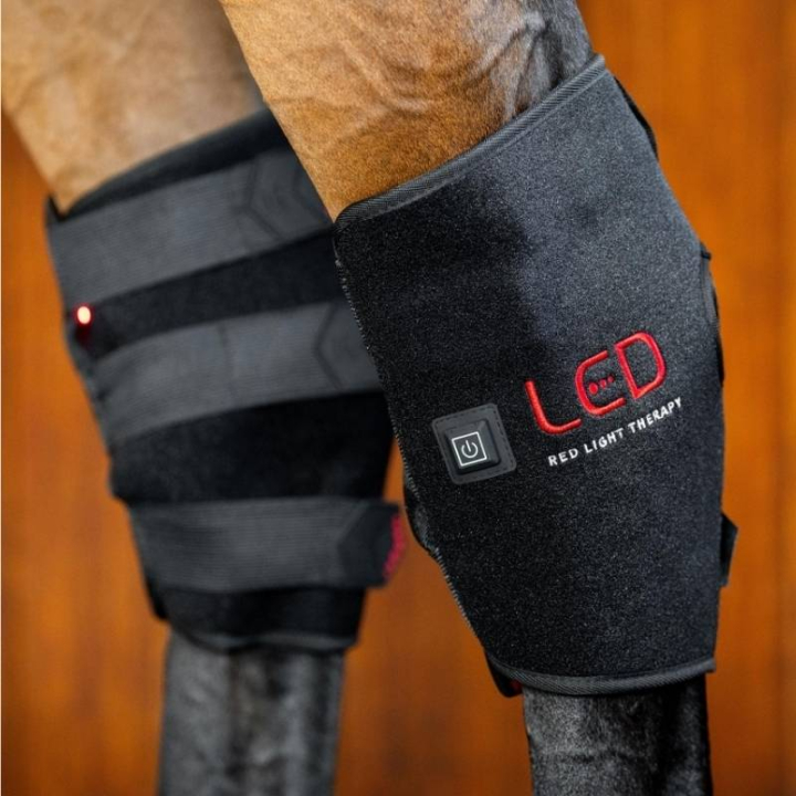 Terapiskydd Hasled LED Red Light Therapy Svart i gruppen Skötsel & Vård / Massage & Blodcirkulation hos Horseonline AB (TLHHT1KK0BA_r)