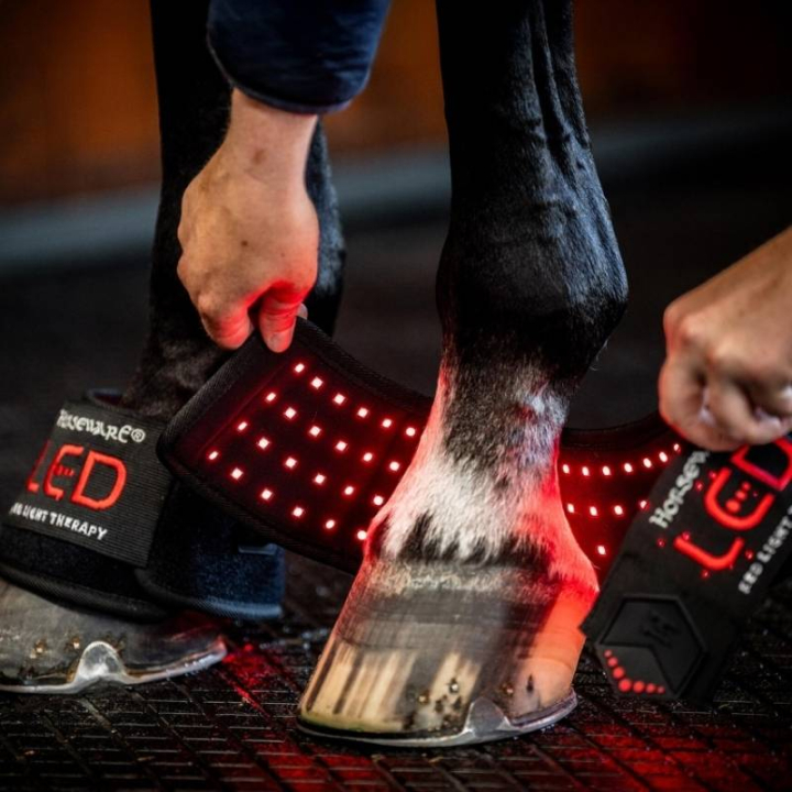 Boots LED Red Light Therapy Svart i gruppen Skötsel & Vård / Massage & Blodcirkulation hos Horseonline AB (TLHMT1KK0BA)