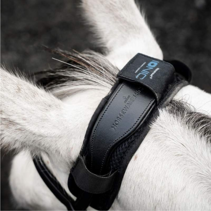 Nackskydd Ionic Therapy Svart i gruppen Hästutrustning / Träns & Pannband / Tränstillbehör hos Horseonline AB (TQHJNNK00BA)