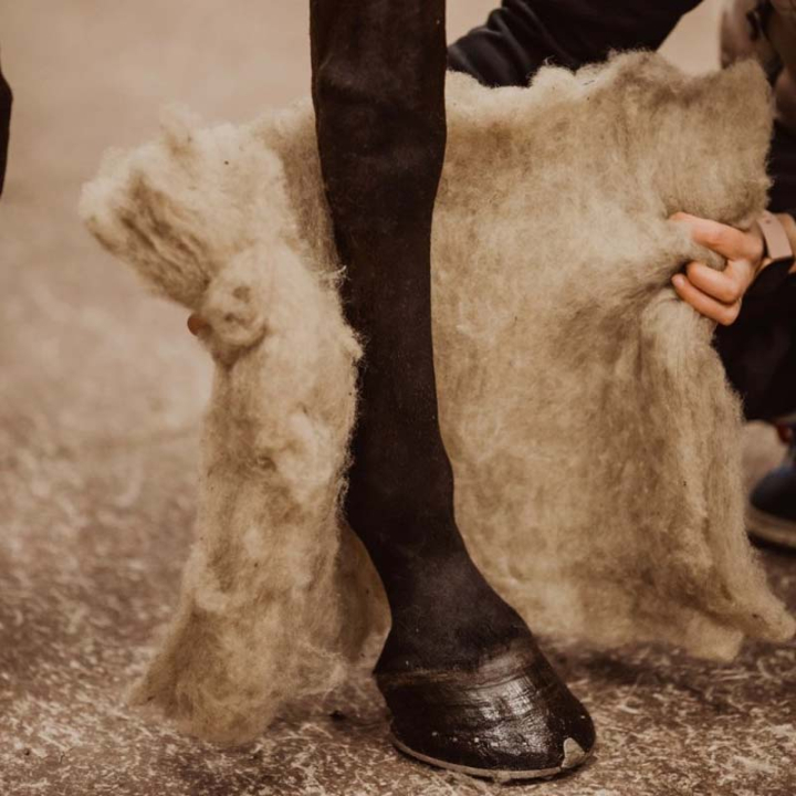 Ullpaddar Wool Care Natur i gruppen Skötsel & Vård / Massage & Blodcirkulation hos Horseonline AB (V900NE)