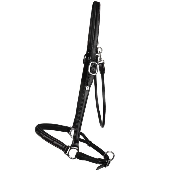 Groominggrimma Leather WBD Svart i gruppen Hästutrustning / Grimmor / Lädergrimmor hos Horseonline AB (WO09BBLCBA_r)