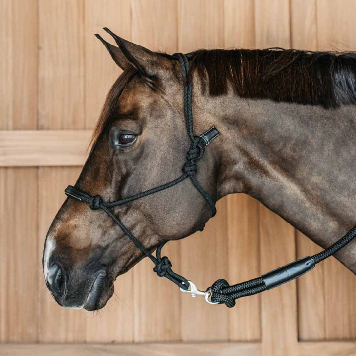 Repgrimma Training WBD Svart i gruppen Hästutrustning / Grimmor / Repgrimmor hos Horseonline AB (WO09CBLCBA_r)