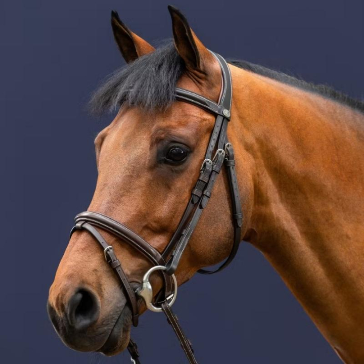 Träns Classic Kombinosgrimma WC Brun i gruppen Hästutrustning / Träns & Pannband / Träns hos Horseonline AB (WOAAHLBr_r)