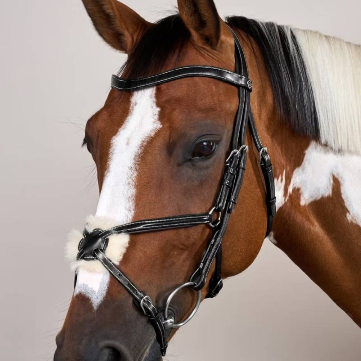 Träns Mexikansk Nosgrimma WC Svart i gruppen Hästutrustning / Träns & Pannband / Träns hos Horseonline AB (WOAQHCSv_r)