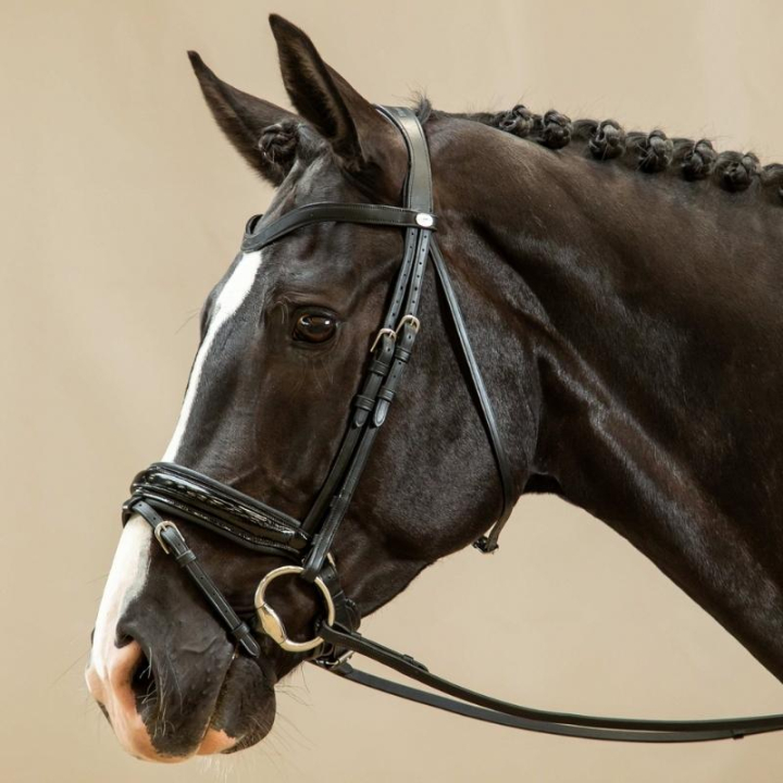 Dressyrträns Lack Working Collection Svart i gruppen Hästutrustning / Träns & Pannband / Kandarträns & Dressyrträns hos Horseonline AB (WODCANSv_r)